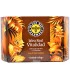BLACK BEE PHARMACY JALEA REAL VITALIDAD 20 VIALES 10ML (PACK 2 UNIDADES)