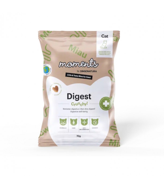 DINGONATURA GATO MOMENTS CAT DIGEST