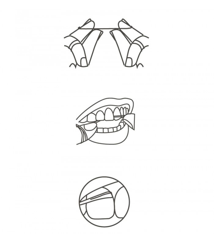 BETER HILO DENTAL CON CARBÓN ACTIVADO DENTAL CARE REF. 21023