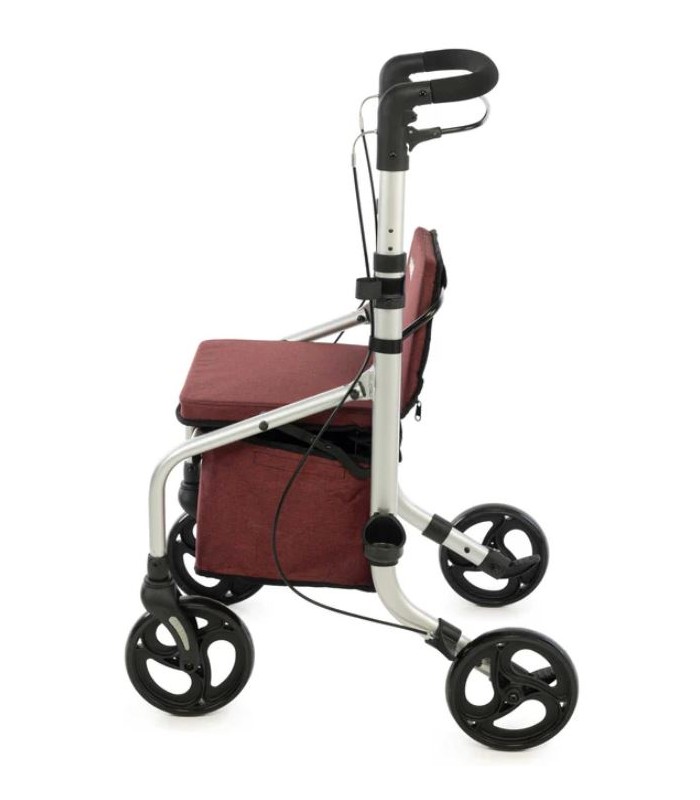 CARLETT LETT GO RUBY ANDADOR CARRITO COMPRA 830-S2