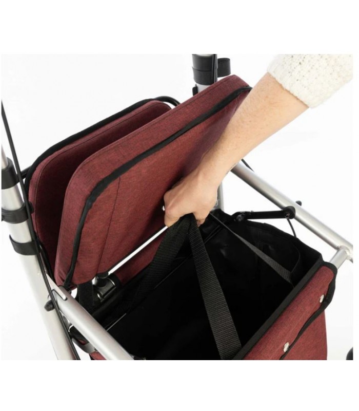 CARLETT LETT GO RUBY ANDADOR CARRITO COMPRA 830-S2